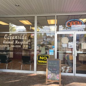 oceanside animal hospital