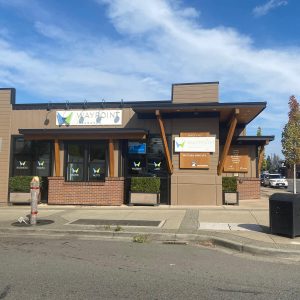 waypoint insurance