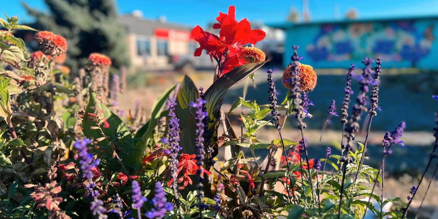 flowers